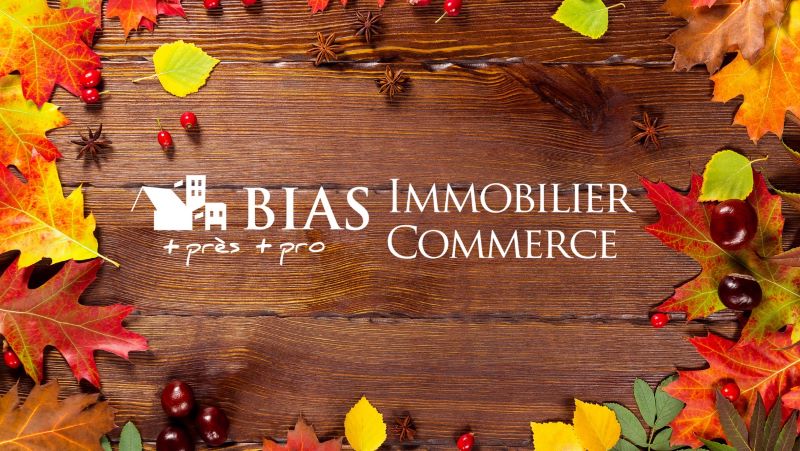 Bias Immobilier